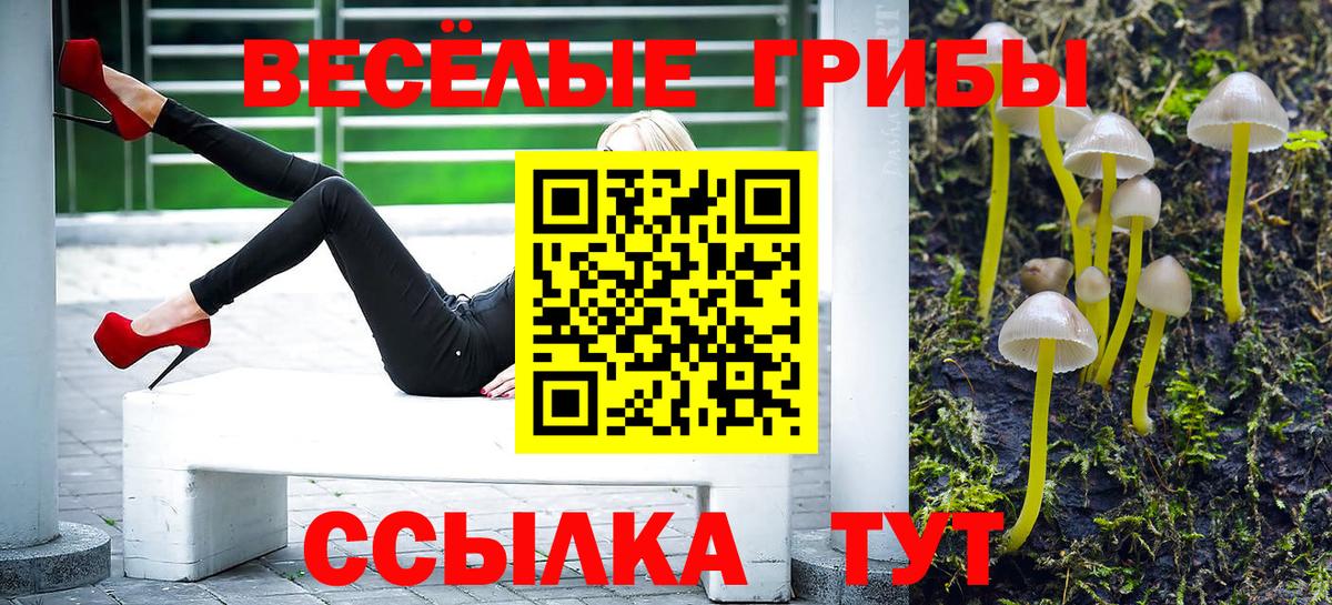 Псилоцибиновые грибы мухоморы Новоалександровск